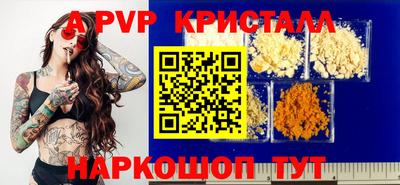 стаф Каменск-Шахтинский