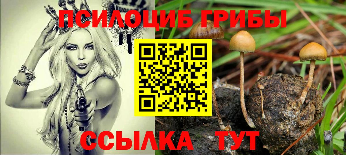 Галлюциногенные грибы Psilocybine cubensis  Псилоцибиновые грибы мицелий  Ставрополь  Вход с VPN 