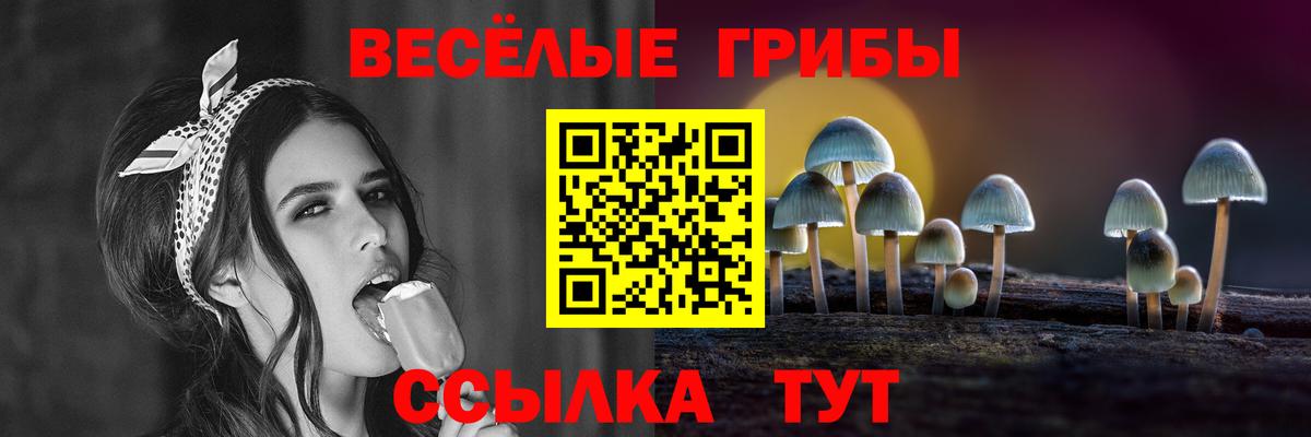Псилоцибиновые грибы ЛСД Ставрополь